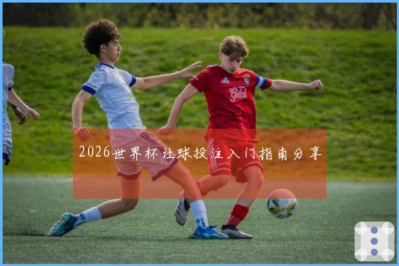2026世界杯让球投注入门指南分享