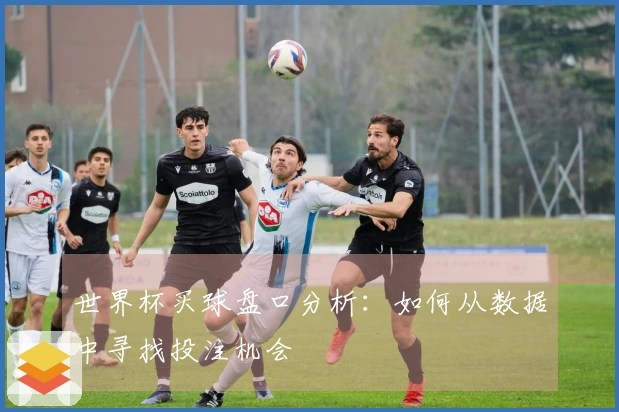 世界杯买球盘口分析：如何从数据中寻找投注机会