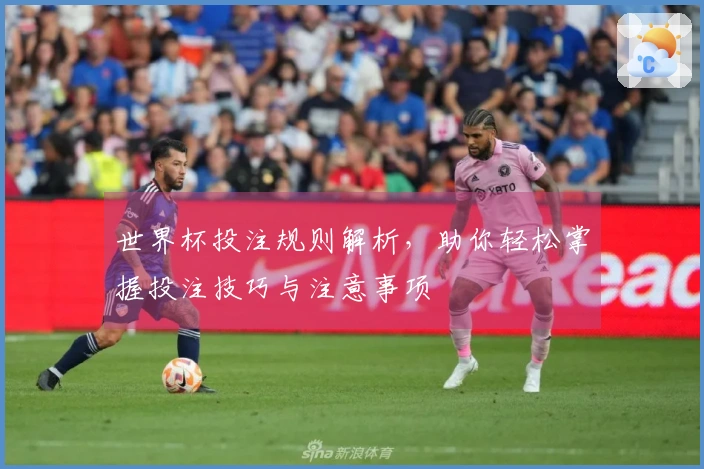 世界杯投注规则解析，助你轻松掌握投注技巧与注意事项