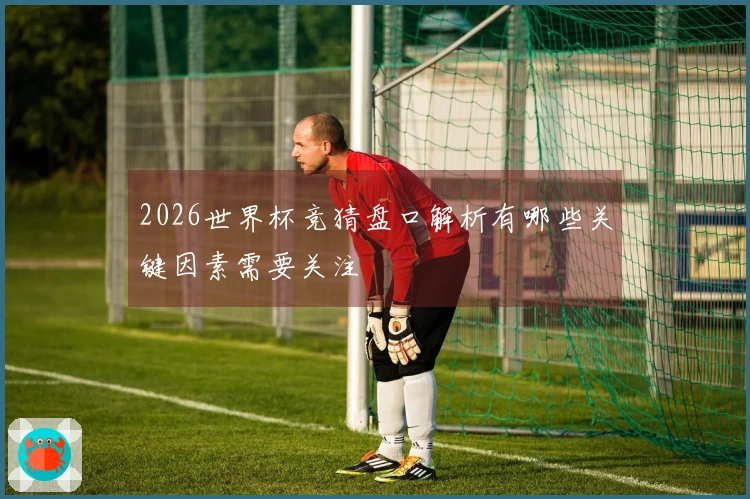 2026世界杯竞猜盘口解析有哪些关键因素需要关注