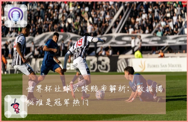 世界杯让球买球赔率解析：数据揭秘谁是冠军热门