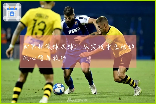 世界杯滚球买球：从实践中总结的投心得与技巧
