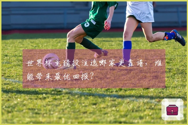 世界杯竞猜投注选哪家更靠谱，谁能带来最优回报？