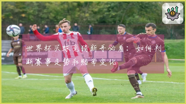 世界杯买球竞猜新手必看：如何判断赛事走势和赔率变化